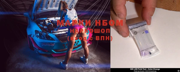 кокс Елизово