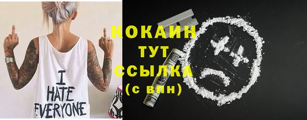 не бодяженный Заводоуковск