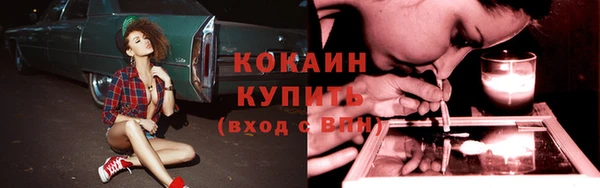 кокс Елизово