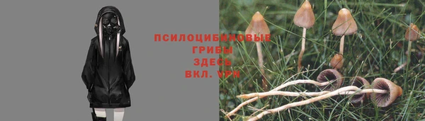 трава Заволжье