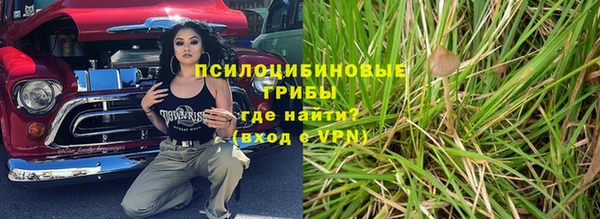 не бодяженный Заводоуковск