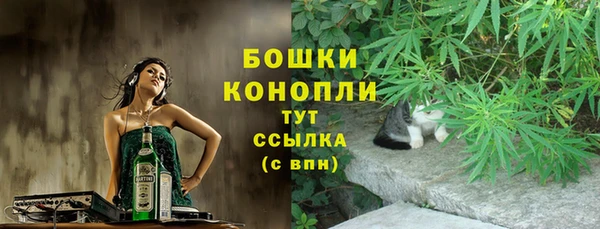 молекула духа Заволжск