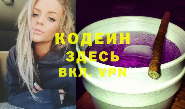 не бодяженный Заводоуковск