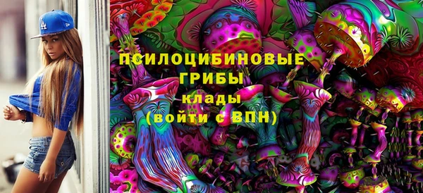 гидра Елабуга