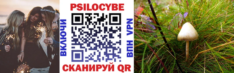 Купить где  Красноуфимск  Псилоцибиновые грибы прущие грибы 